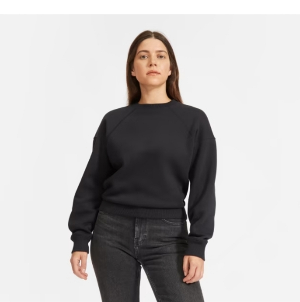 SALE Everlane ReNew Sweatshirt